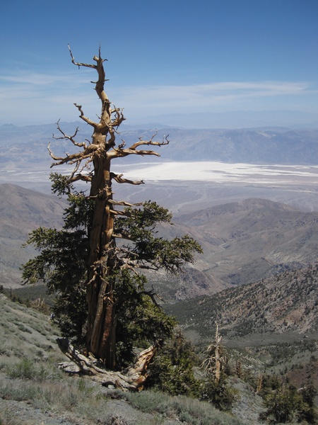 110618-092-Telescope_Peak_East
