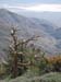 110618-041-Telescope_Peak_East