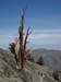110618-062-Telescope_Peak