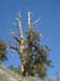 110618-064-Telescope_Peak