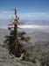 110618-092-Telescope_Peak_East