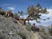 110618-100-Telescope_Peak